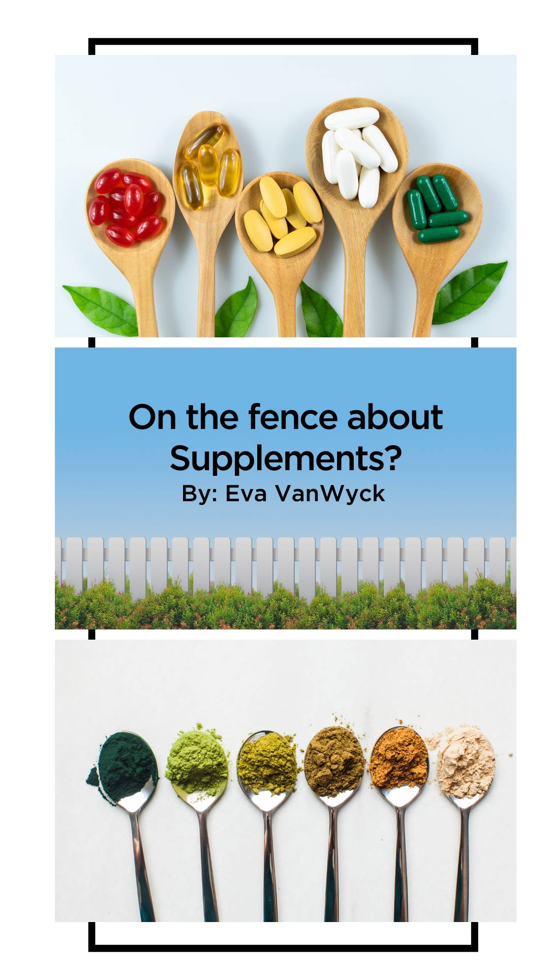 Image of a title page that says "On the fence about supplements? By: Eva VanWyck" over a picture of a fence line, with a picture of pill supplements on spoons and a picture of powdered supplements on spoons.
